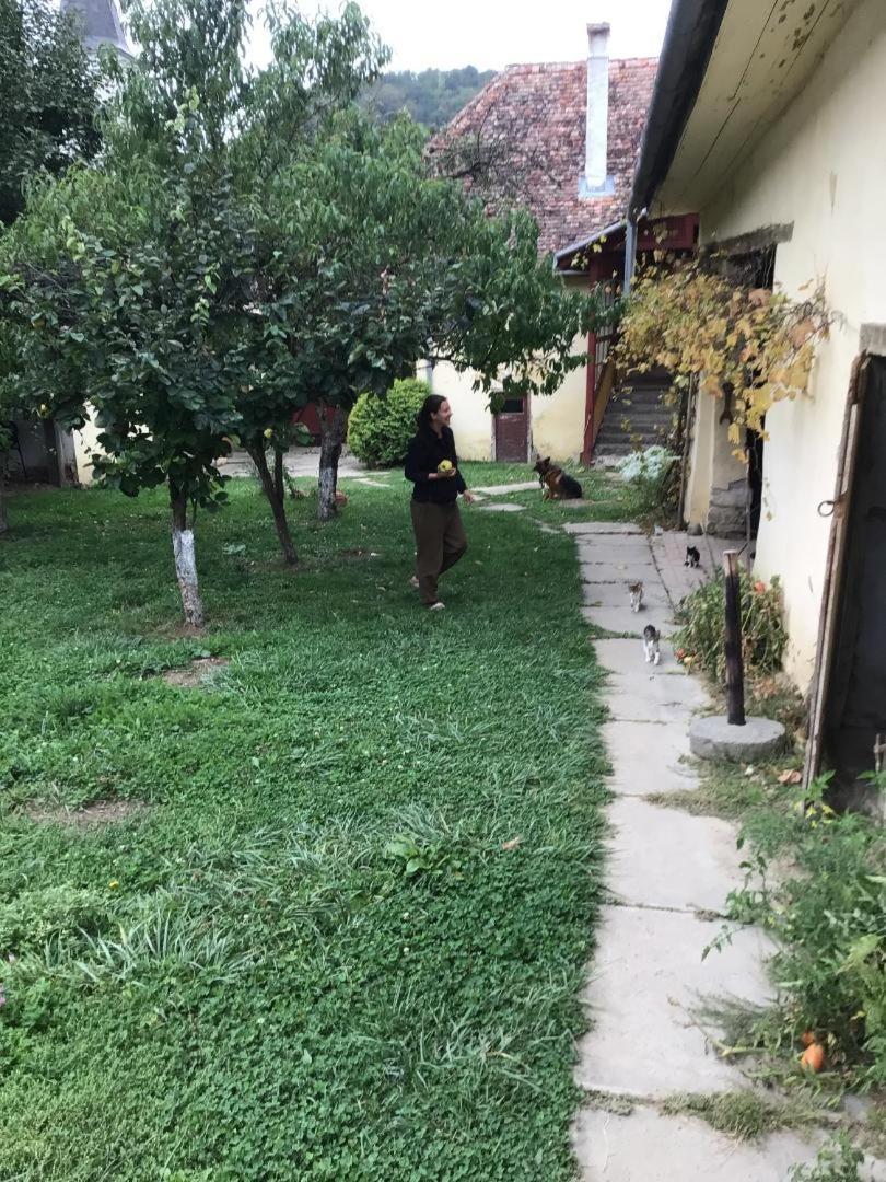 Casa Arthur Richis Richisu المظهر الخارجي الصورة