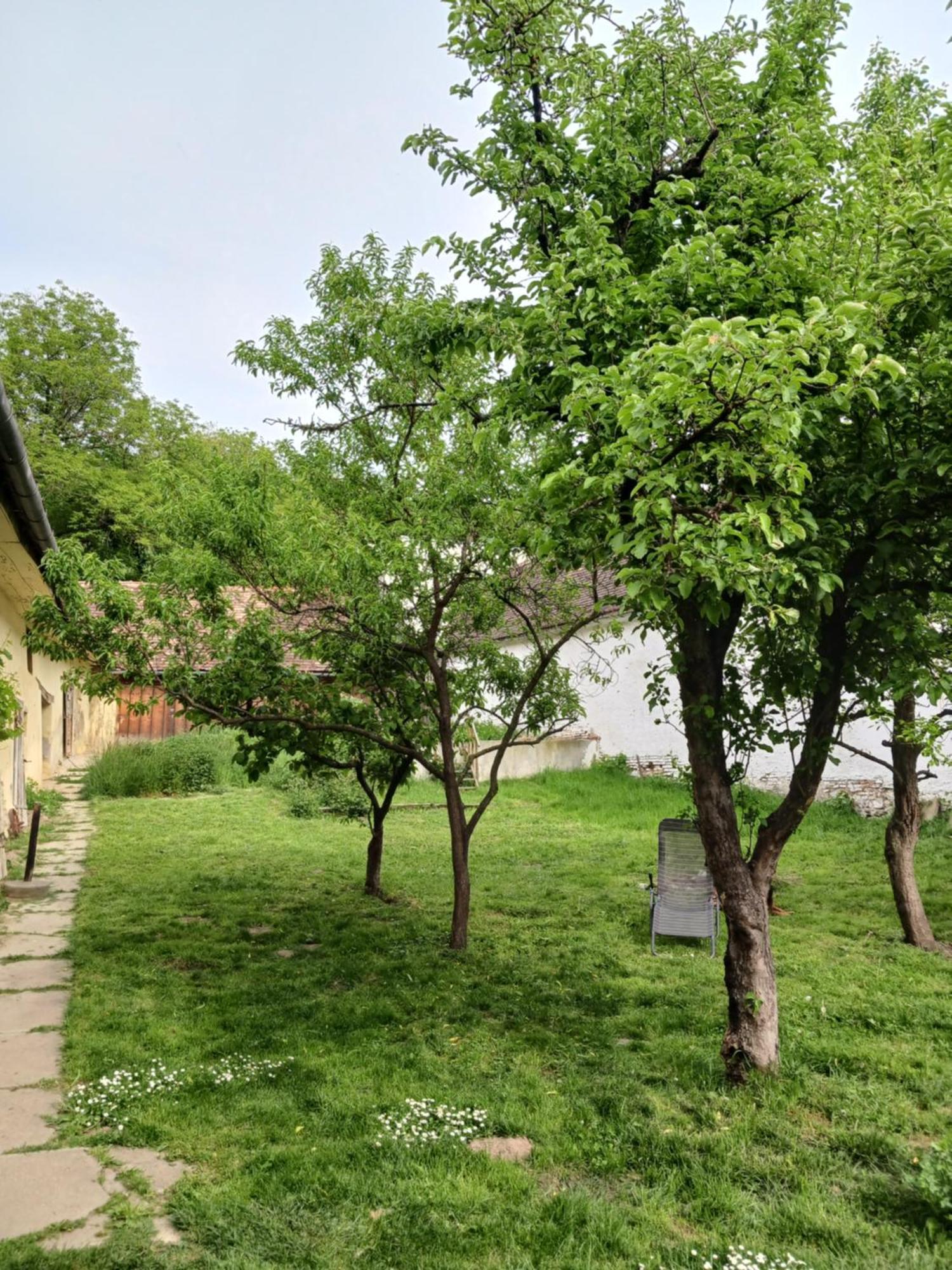 Casa Arthur Richis Richisu المظهر الخارجي الصورة